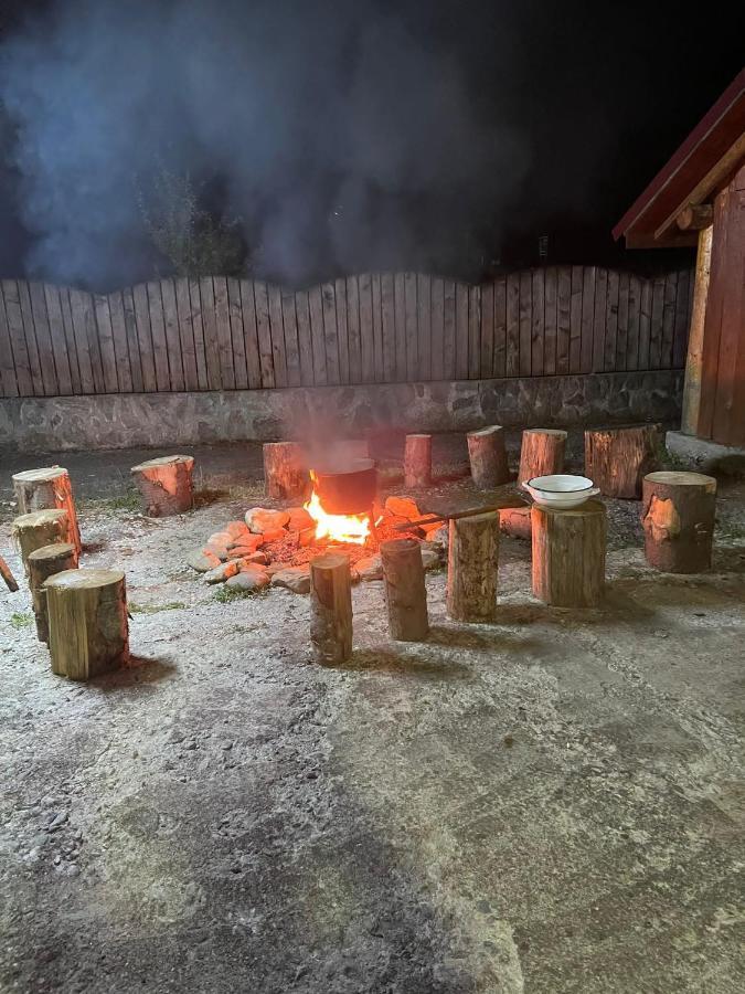 Pensiunea Ducu Scoreiu Eksteriør bilde